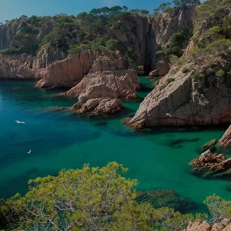 Apartament A La Placeta De Sant Joan 21, 3r Apartment Sant Feliu de Guixols